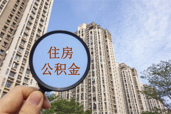 泸州辞职多久公积金可以全部取出来吗（辞职之后公积金多长时间可以取）